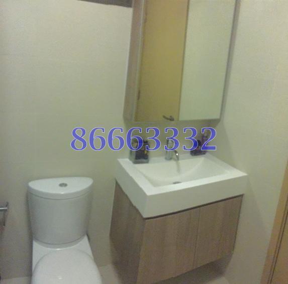 Parc Vera (D19), Condominium #173852572